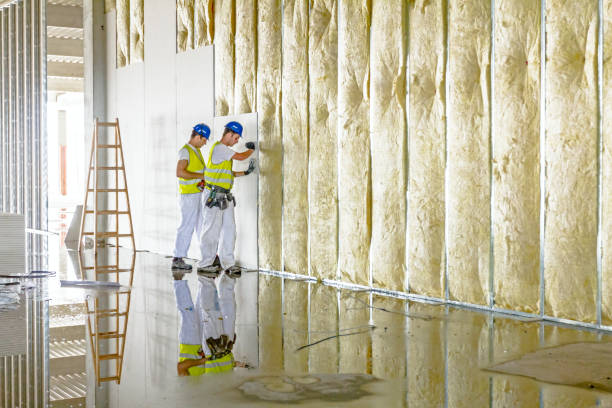 Trusted Elroy, NC Insulation Contractor Experts